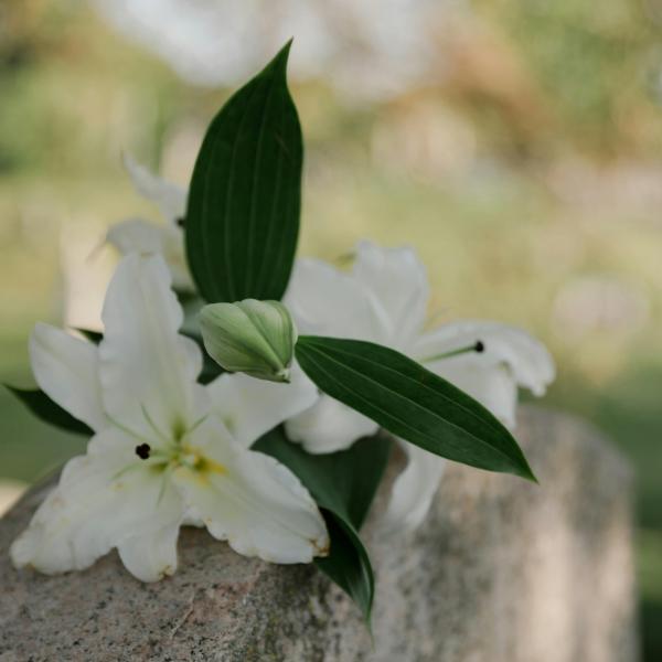 Cemetery